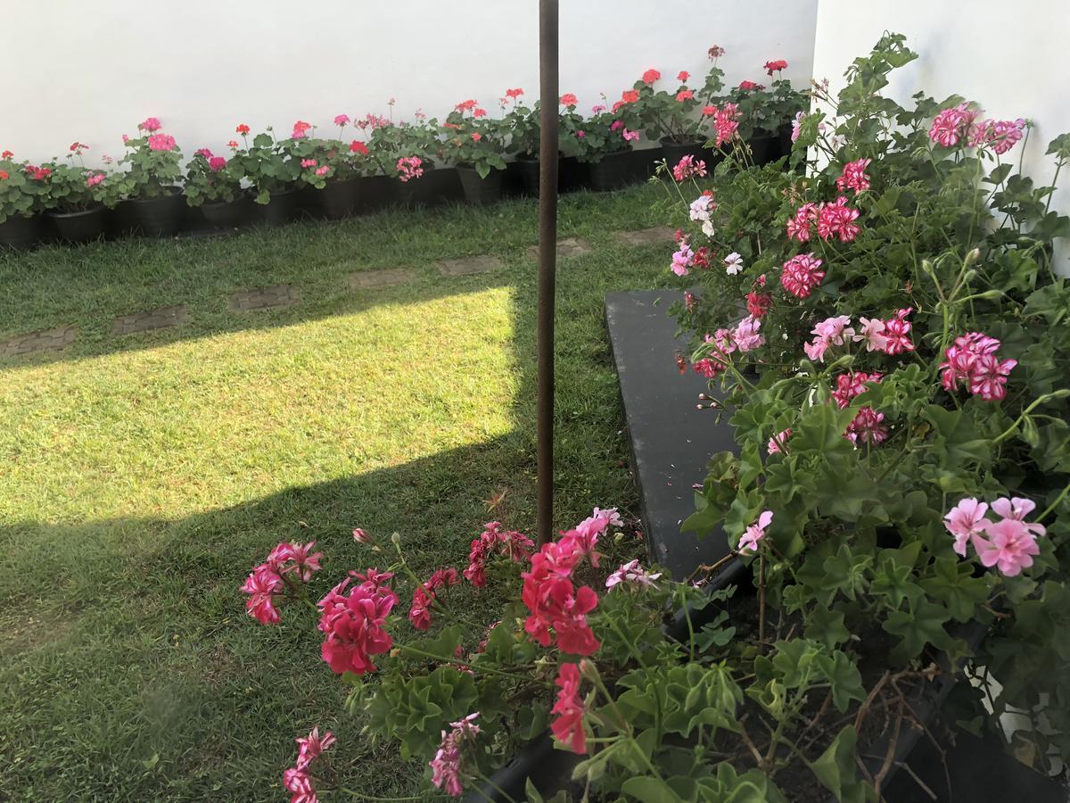 Bungalow 28 نوفارا إيلِيا المظهر الخارجي الصورة